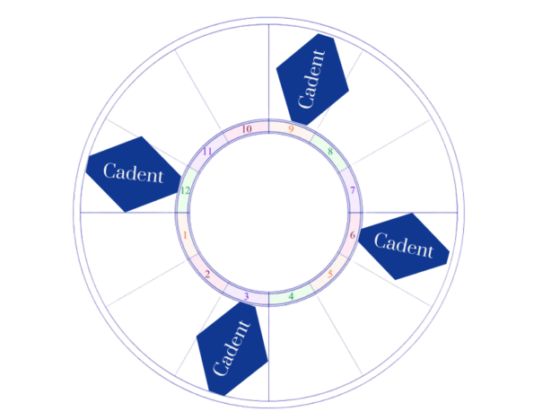 Jul 04 2025 – Exploring Cadency For Potency
